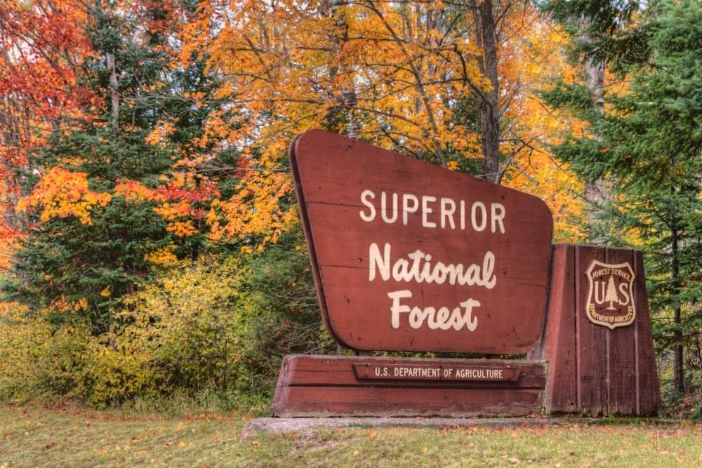 A sign for Superior National Forest Campgrounds in the fall.
