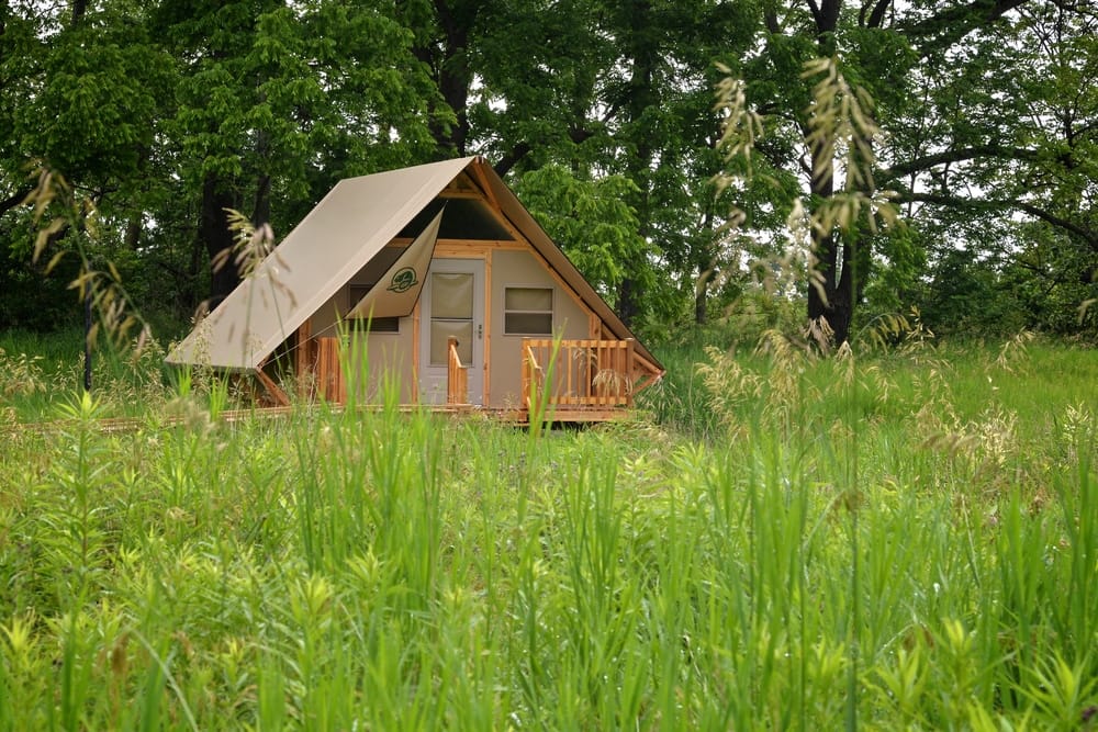 A tan tent sits in the middle of tall grass at the Twyn Rivers Day Use Area, which has recently reopened.