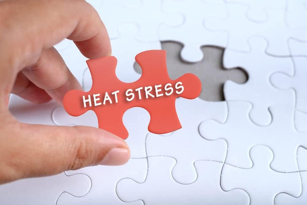 A BC Campground Owner holding a puzzle piece with the word heat stress, working to protect employees from the risk.