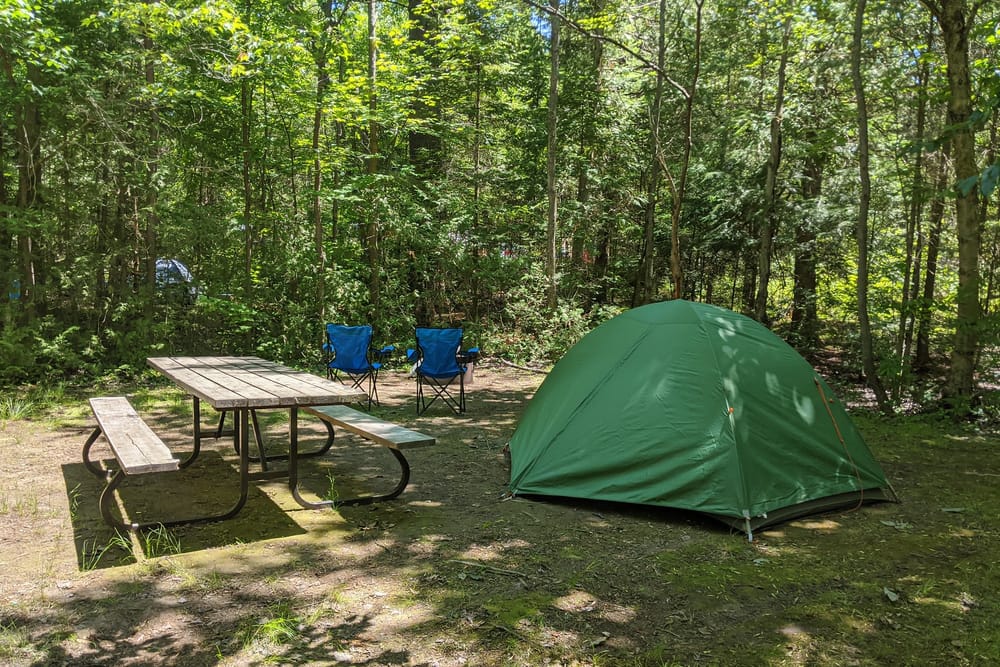Evacuees can enjoy free stays in a tent set up in a wooded area by Parks Canada.