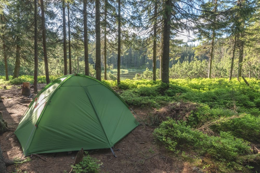 A green tent set up in a forest, providing outdoor recreation for rural communities.