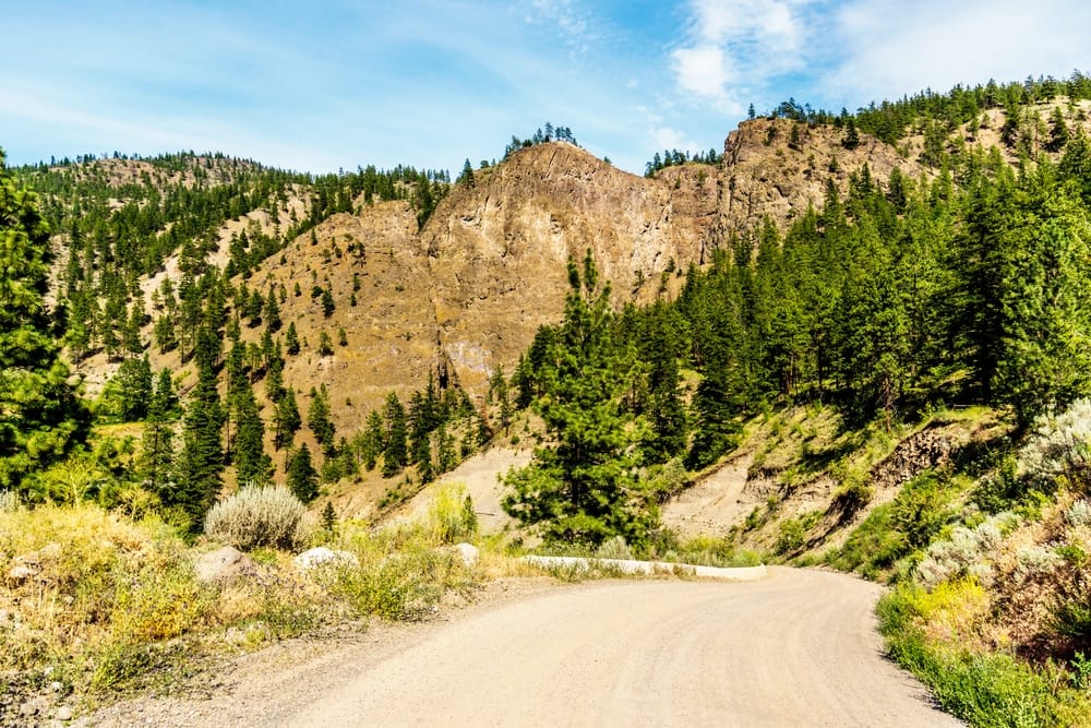 A dirt road surrounded by trees and mountains in Fraser Canyon.
