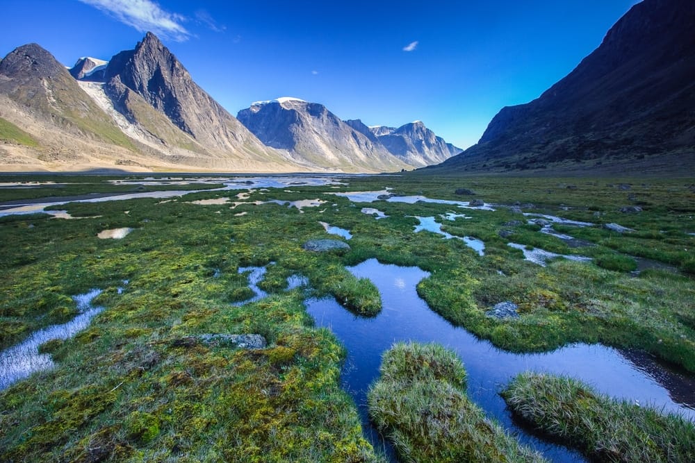 A picturesque valley with lush green grass and majestic mountains serving as a breathtaking backdrop.