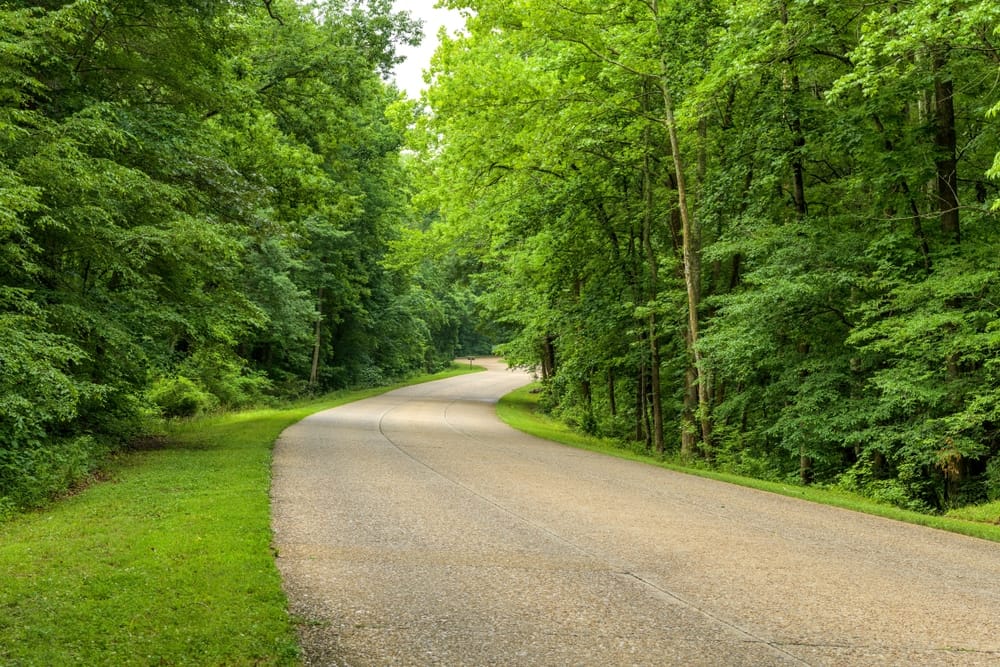 Visitors driving through Colonial National Historical Park can enjoy the scenic beauty of a road surrounded by trees during Parkway Recreation Days.
