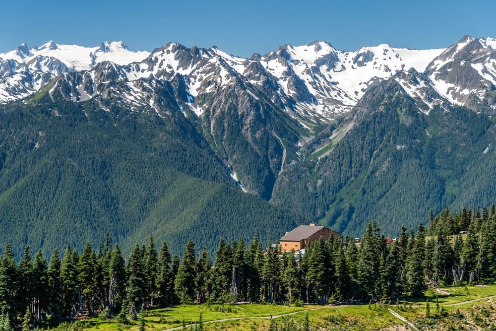 A cabin nestled in the forest overlooks the mountains.