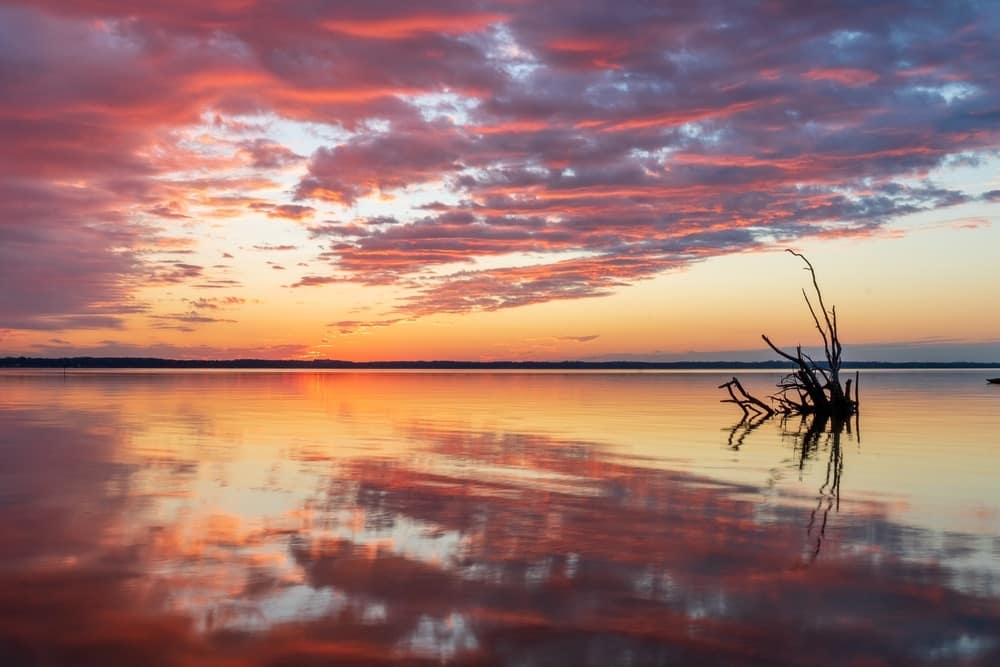 A breathtaking sunset over a serene lake, where a solitary tree is majestically reflected in the calm waters.