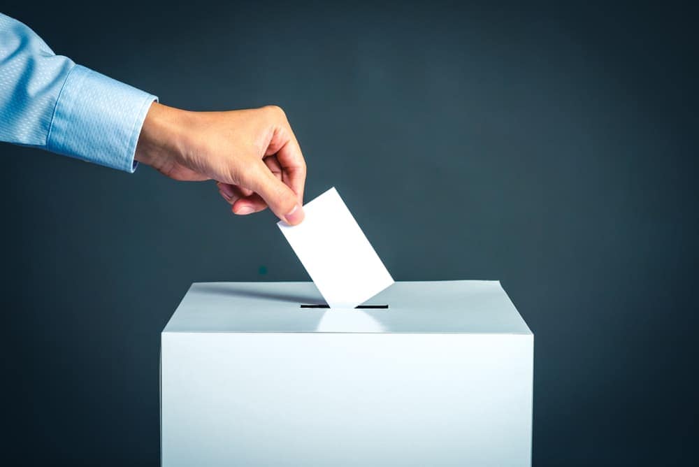 A hand elects a paper into the RVIA voting box.