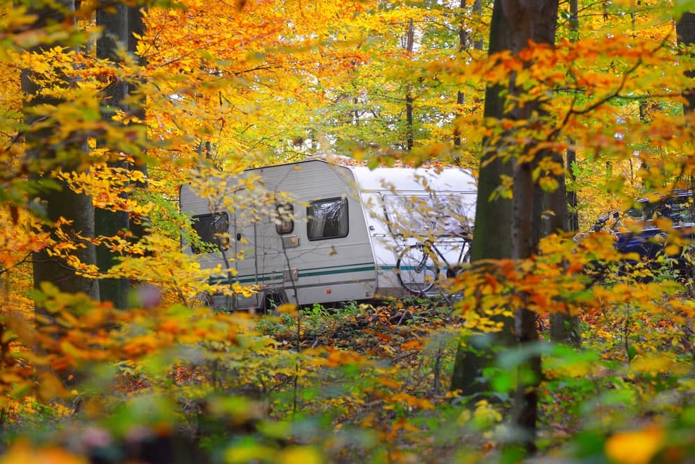 An outdoor enthusiast's camper parked in a wooded area, ready for winterizing after enjoying fall road trips.