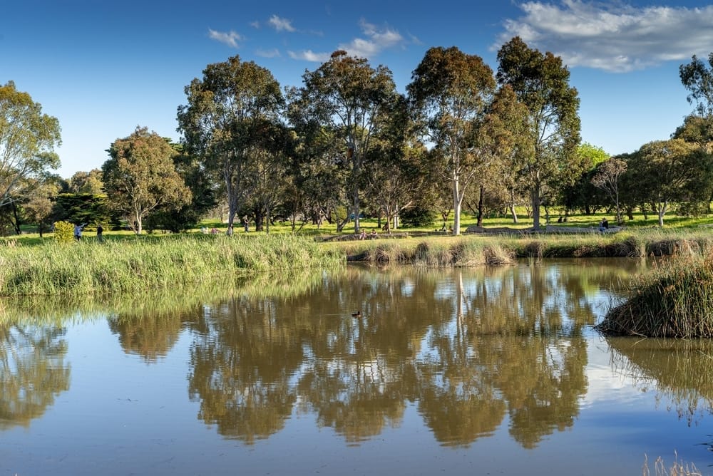 The redevelopment of a caravan park in Australia includes a picturesque pond, nestled amongst lush trees and grass.