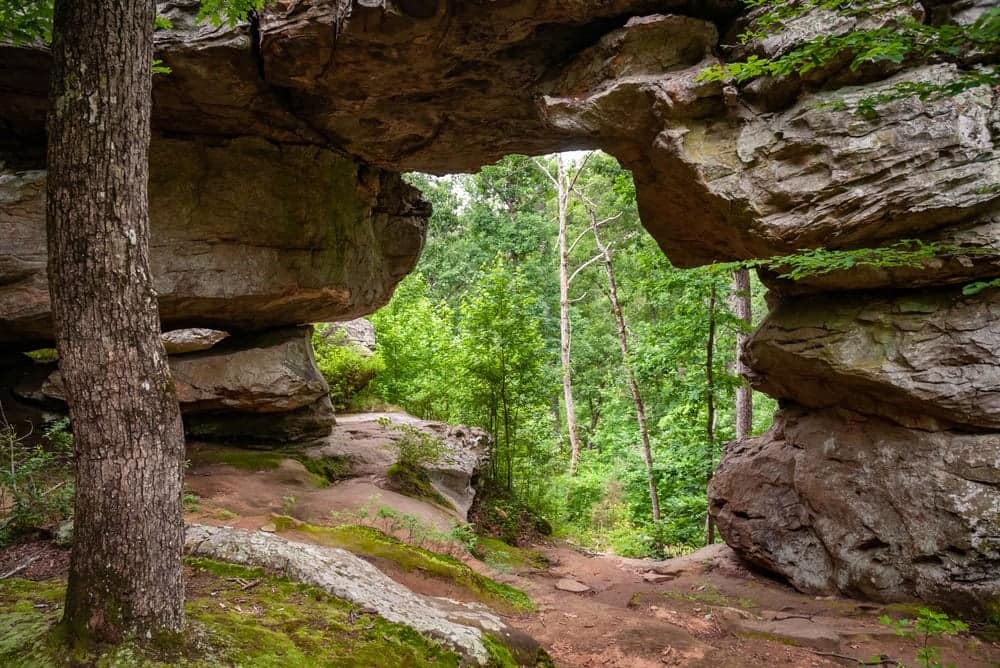 Shea Lewis, the Next Director of Arkansas State Parks, recently discovered a stunning large rock arch nestled in a serene wooded area.