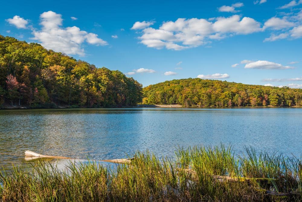 A new lake located in Maryland State Parks, surrounded by a forest and trees, funded through private donations.