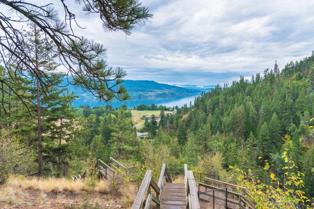 A Central wooden walkway leading to a lake in a forest.