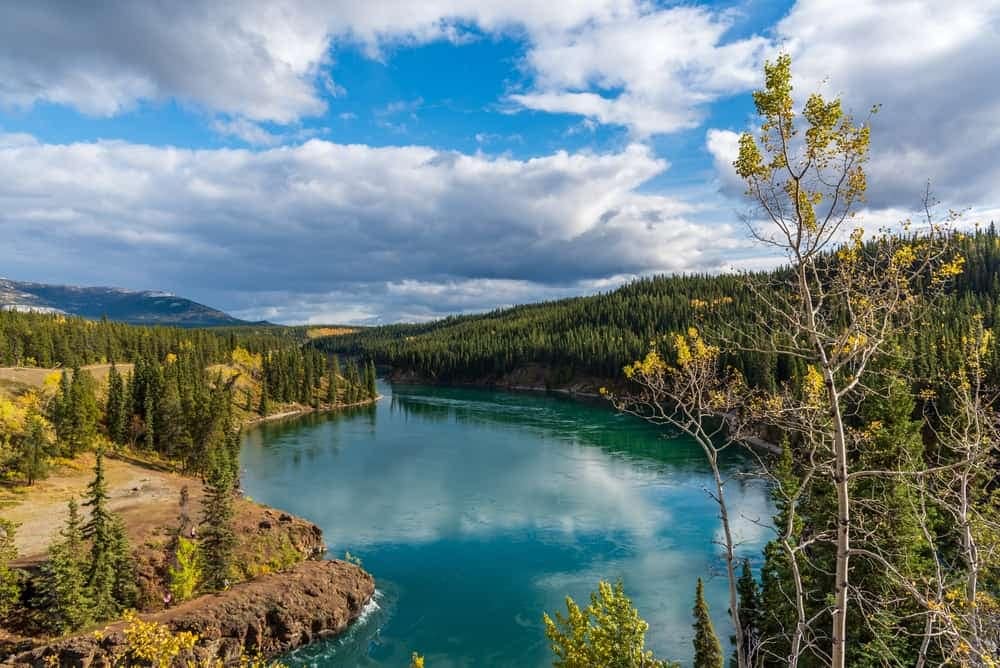 A river surrounded by trees and mountains, located in the Yukon.