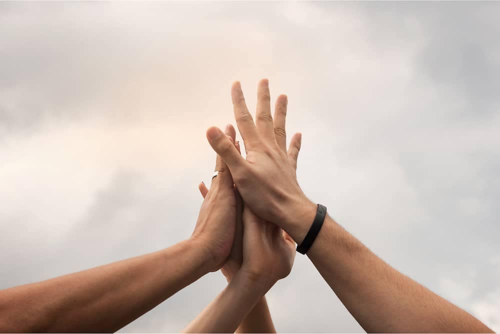 A group of people at Grant Park giving each other a high five.
