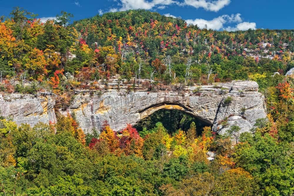 The smoky glen arch in Daniel Boone National Forest is surrounded by fall foliage.
