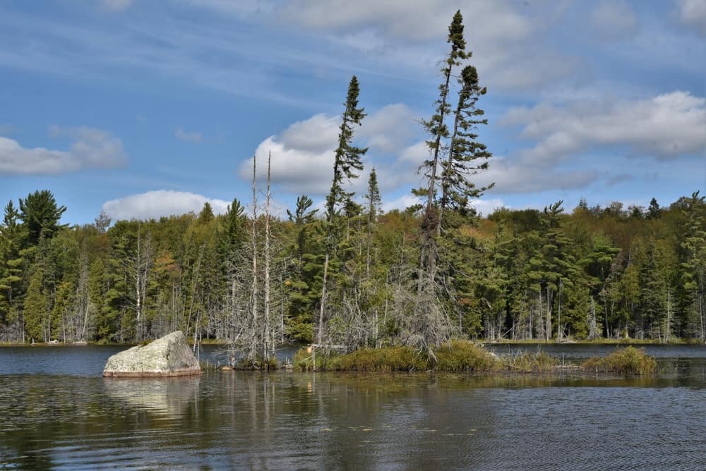 A rock sits in the middle of Craig Lake, a serene lake surrounded by trees in Craig Lake State Park.