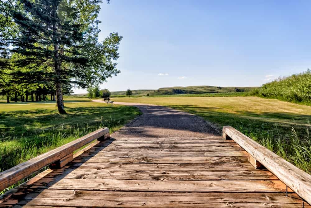 A wooden walkway leading to a golf course in Alberta Parks.
