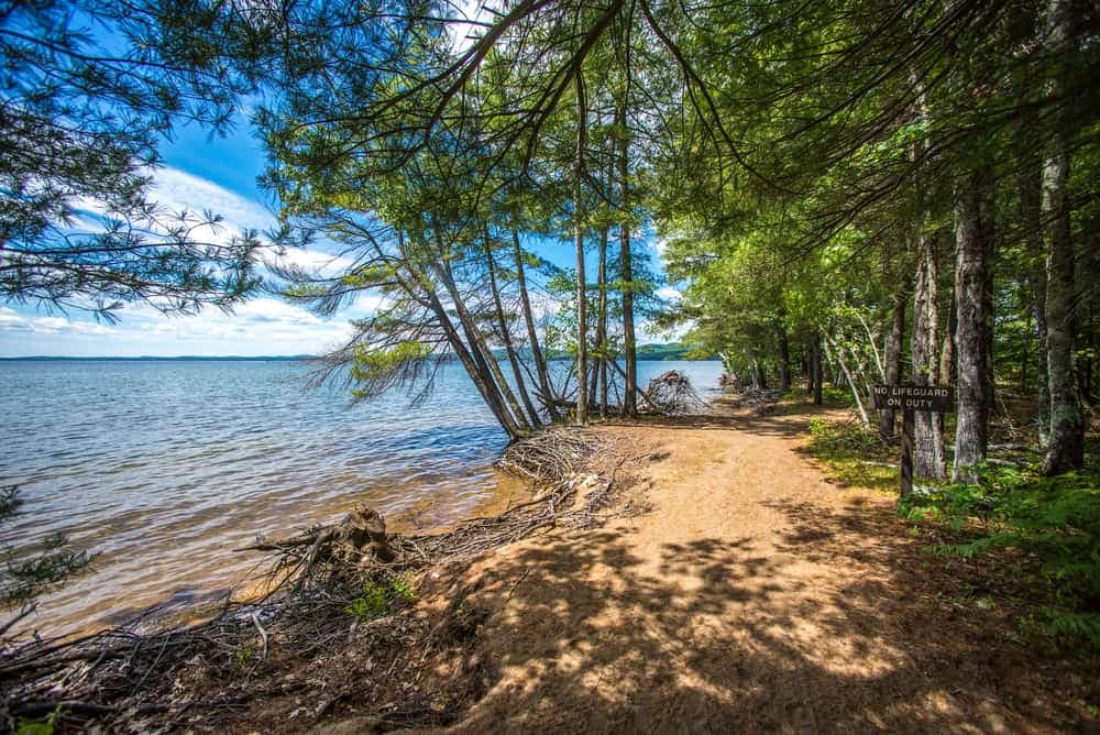 A dirt path leading to a lake in Maine State Parks.