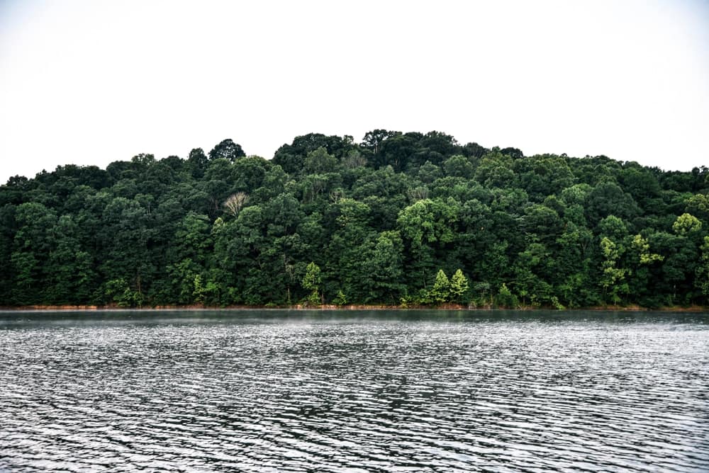 A serene lake nestled within a dense forest, featuring a solitary boat gently floating in the center.