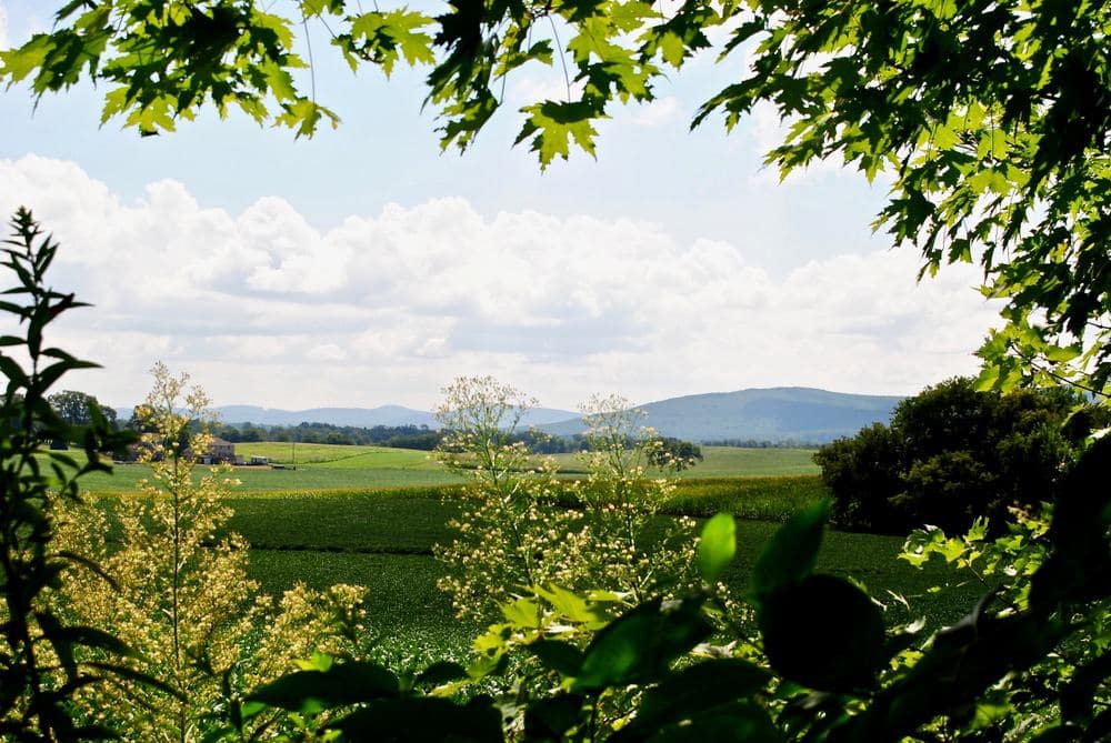 A picturesque view of a green field with majestic mountains in the background in Cumberland County.