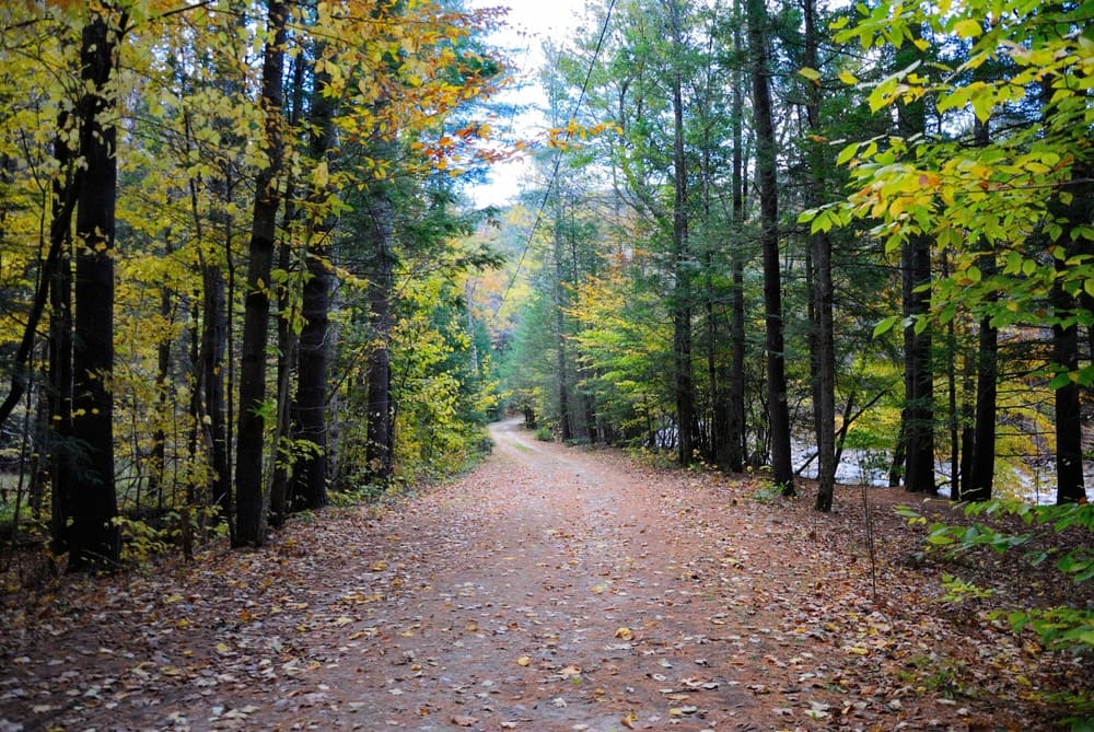 A dirt road in Mohawk Trail State Forest Campground with trees in the background.