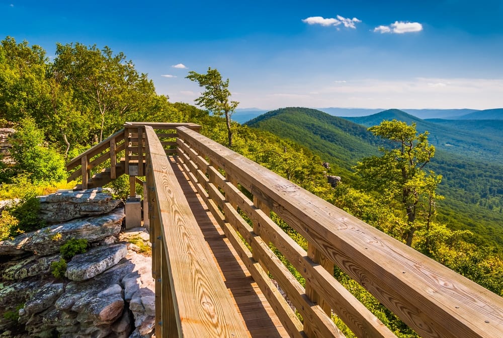 A wooden walkway leading to the top of a mountain within George Washington National Forest.