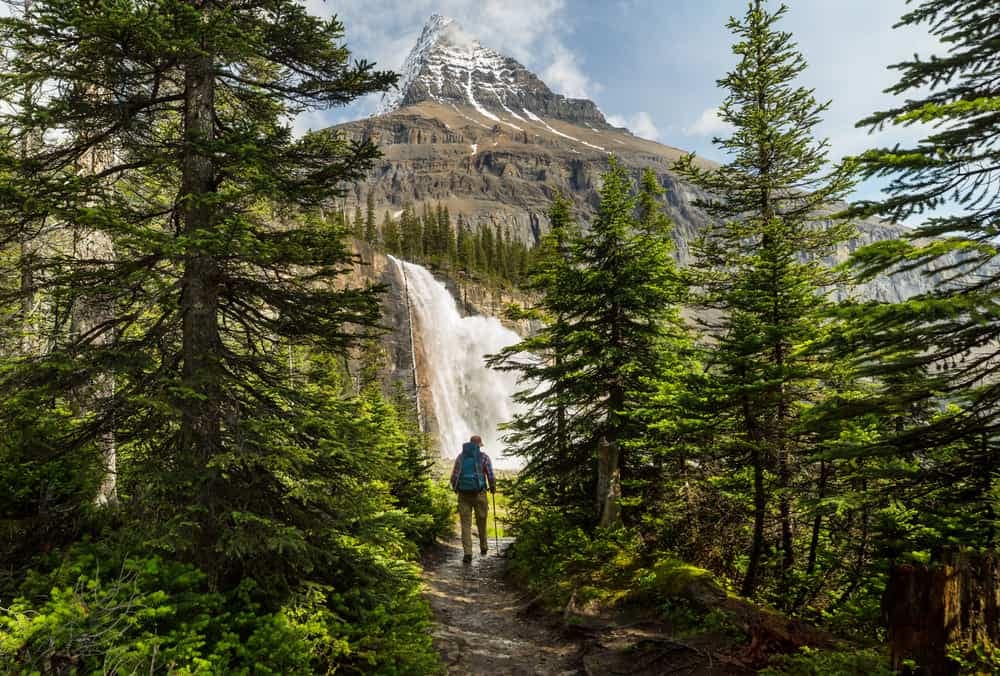 A hiker enjoying the picturesque Prince George Campgrounds trail near a majestic waterfall, contributing to the bounce back of post-pandemic tourism numbers.