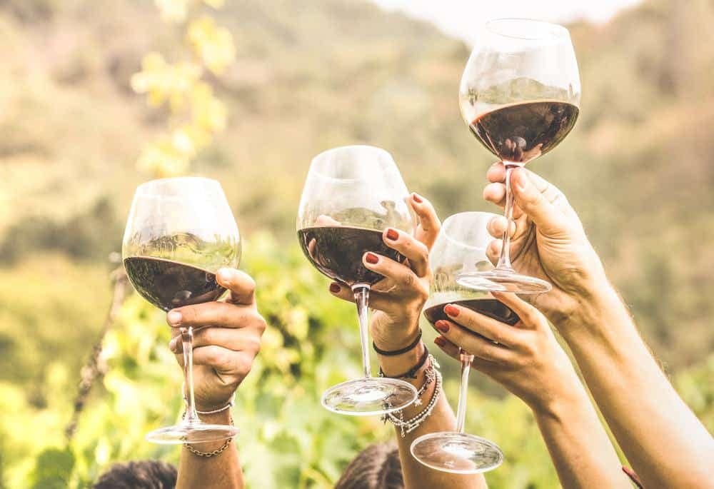 A group of people toasting wine glasses in a vineyard.