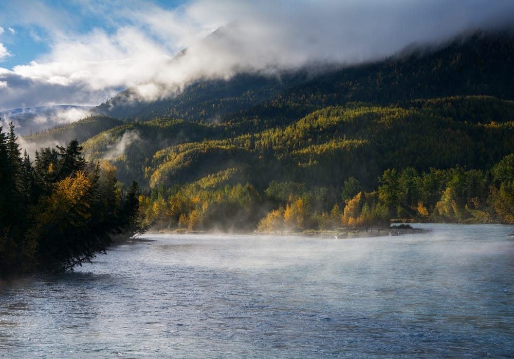 A scenic river in the majestic mountains, surrounded by breathtaking views and abundant wildlife.