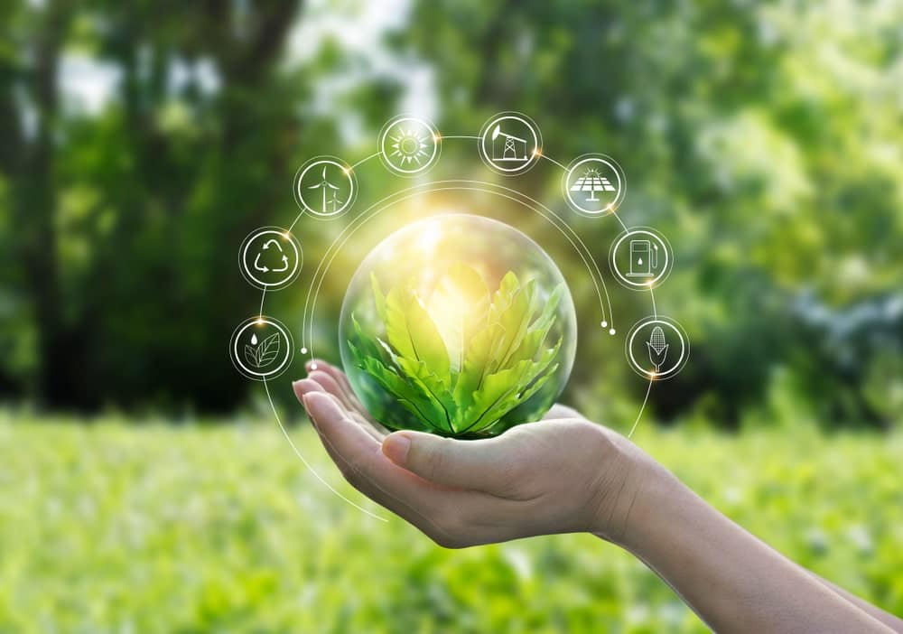 A woman's hand holding a glass ball with green leaves on it, representing sustainability and recycled material.