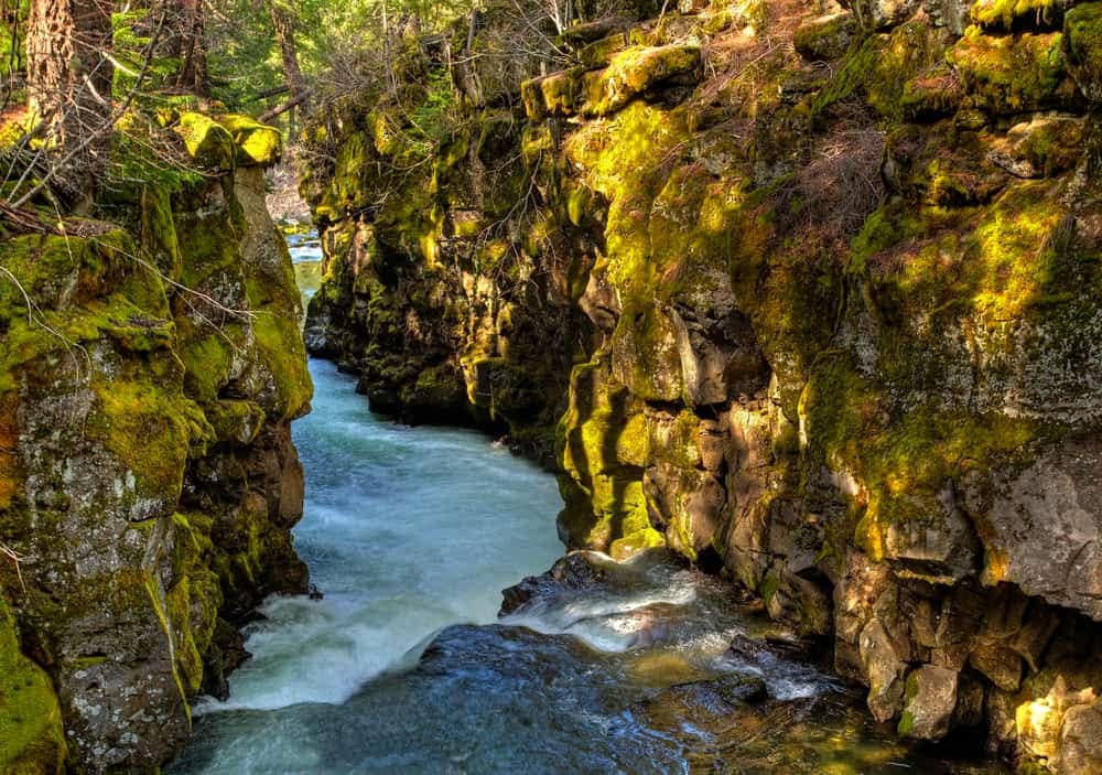 A river runs through a canyon in Jackson County with moss growing on the rocks.