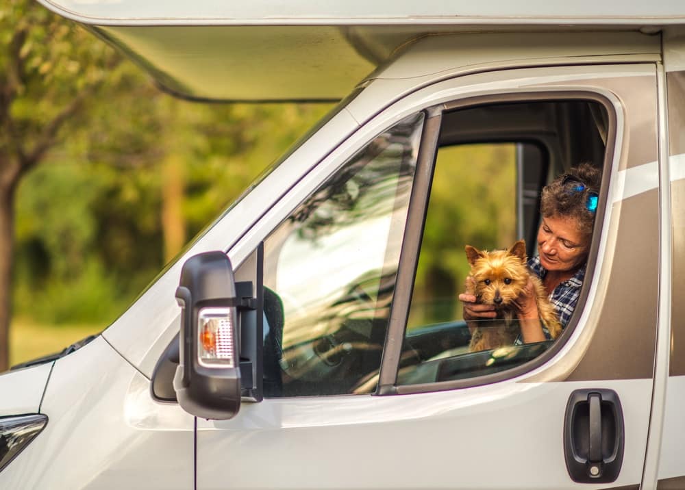 A woman sits in the driver's seat of an RV with her dog, confidently enjoying her Roamly pet insurance.