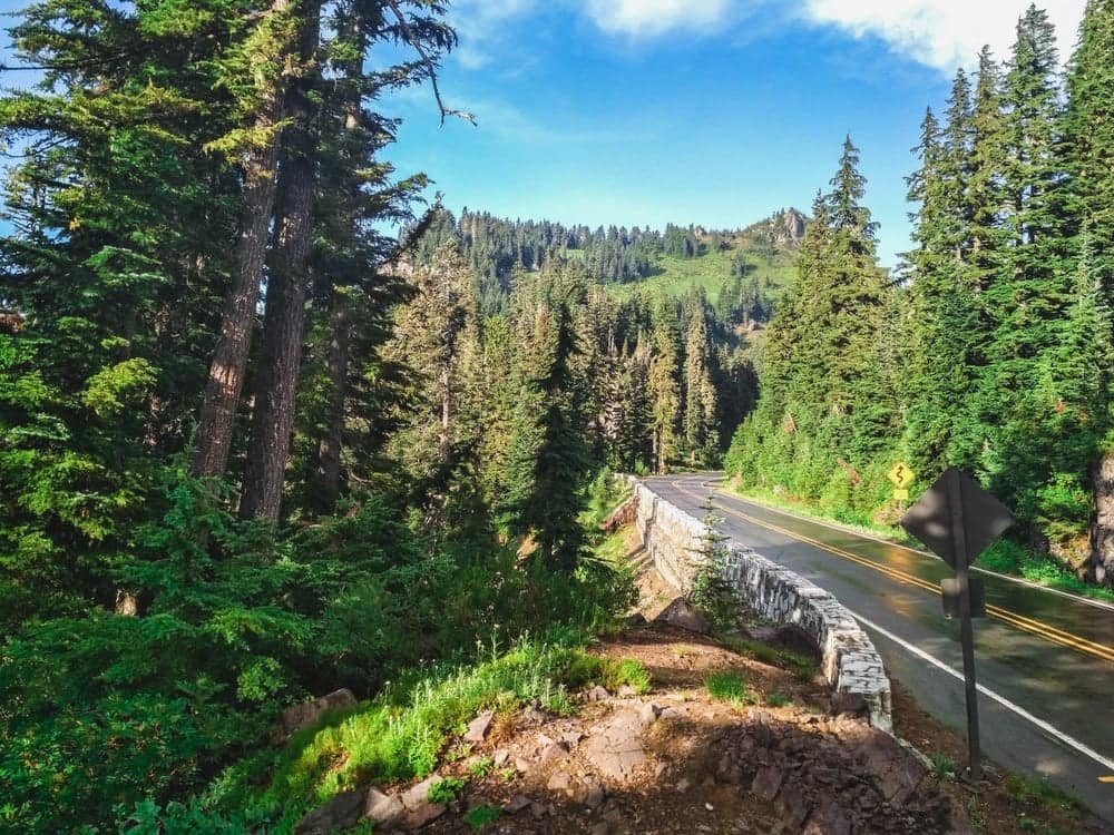 A road surrounded by trees and mountains.