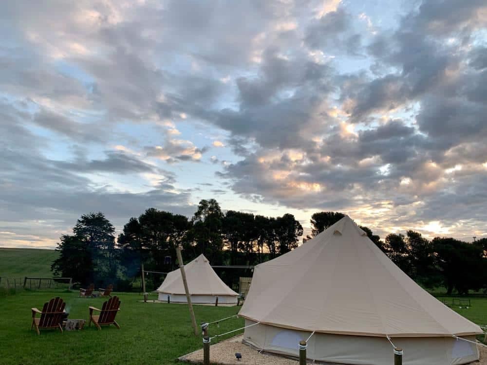 A group of tents set up in a grassy field at the Mount Gambier Caravan Park.
