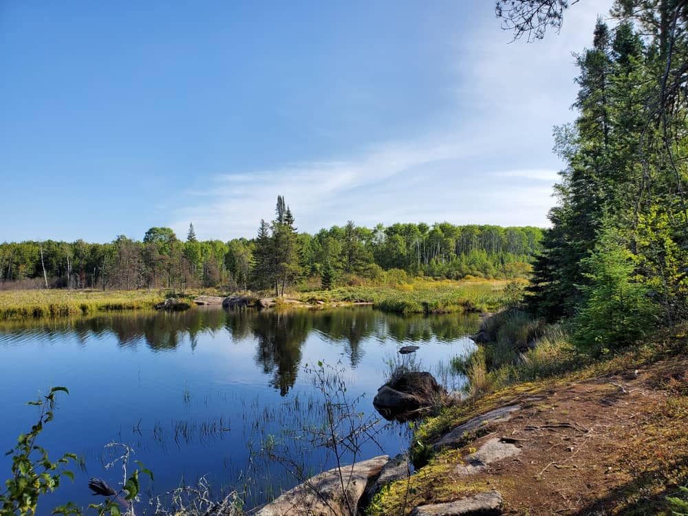 A serene pond nestled among lush trees, with scattered rocks adding to its natural charm.