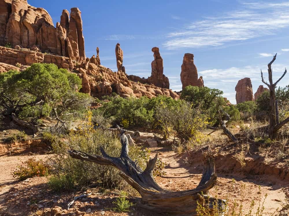 Arches National Park in Utah offers a breathtaking natural landscape, known for its iconic rock formations and stunning vistas. Explore the majestic beauty of Klondike Bluffs Campground, a secluded camping site within