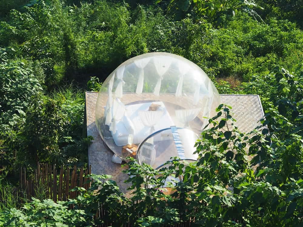 A glamping bubble tent is sitting on top of a tree in the woods.