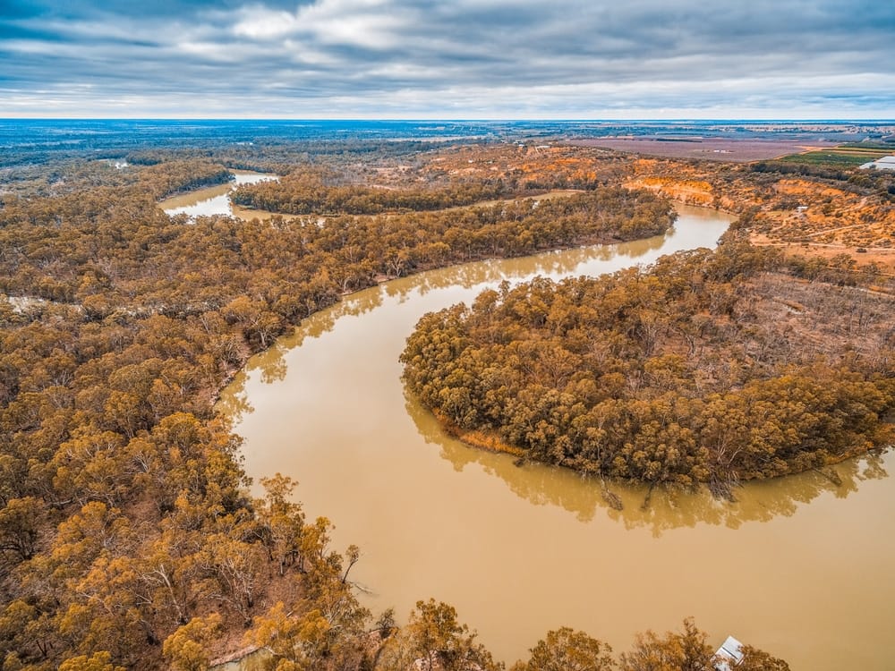 The Chowilla Game Reserve offers a captivating visitor experience with stunning aerial views of a river nestled amidst lush trees in its public campgrounds.