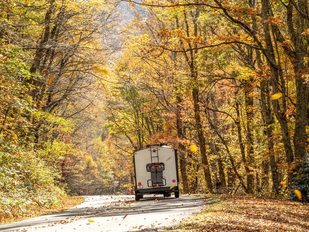 A truck driving down a fall road in the woods.