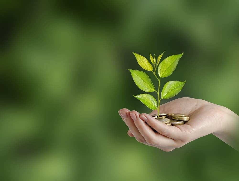 A woman's hand holding coins and a green plant, promoting environmentally-friendly projects recommended by the Michigan Governor.