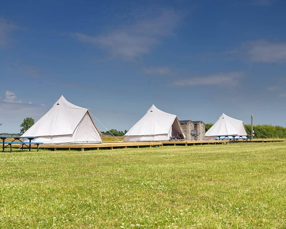 Stonham Barns Park, a popular destination for visitors, unveils a new addition to its attractions - a group of tents on a grassy field. Responding to visitor demand, the