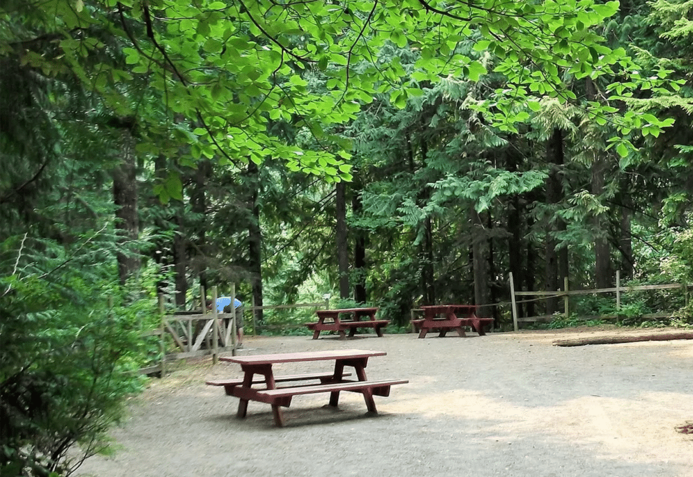 Cumberland Lake Park, a picnic area in a wooded area with picnic tables, has undergone Campground Expansion due to the efforts of Park Society.