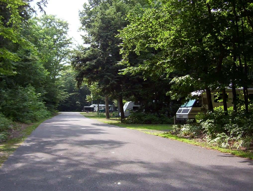 Experience the serene beauty of Mason County Campground, nestled deep in the woods. Take advantage of our limited-time offer this October for our BOGO Camping Weekend, where you can enjoy the tranqu
