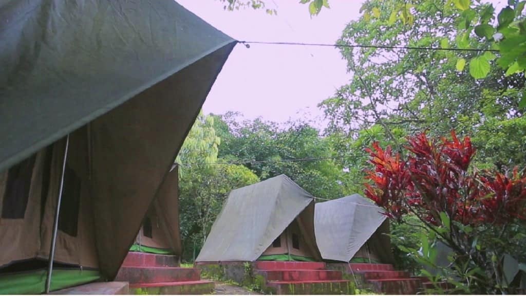 A group of tents are lined up in the pristine wilderness of Periyar Tiger Reserve in South India.