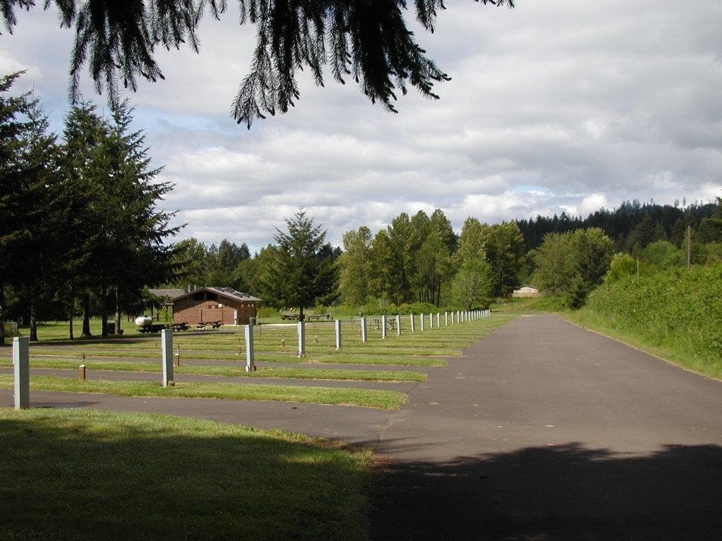 An implement-lined paved road leading to the Sunnyside County Campground, with a grand tree standing proudly in the middle.