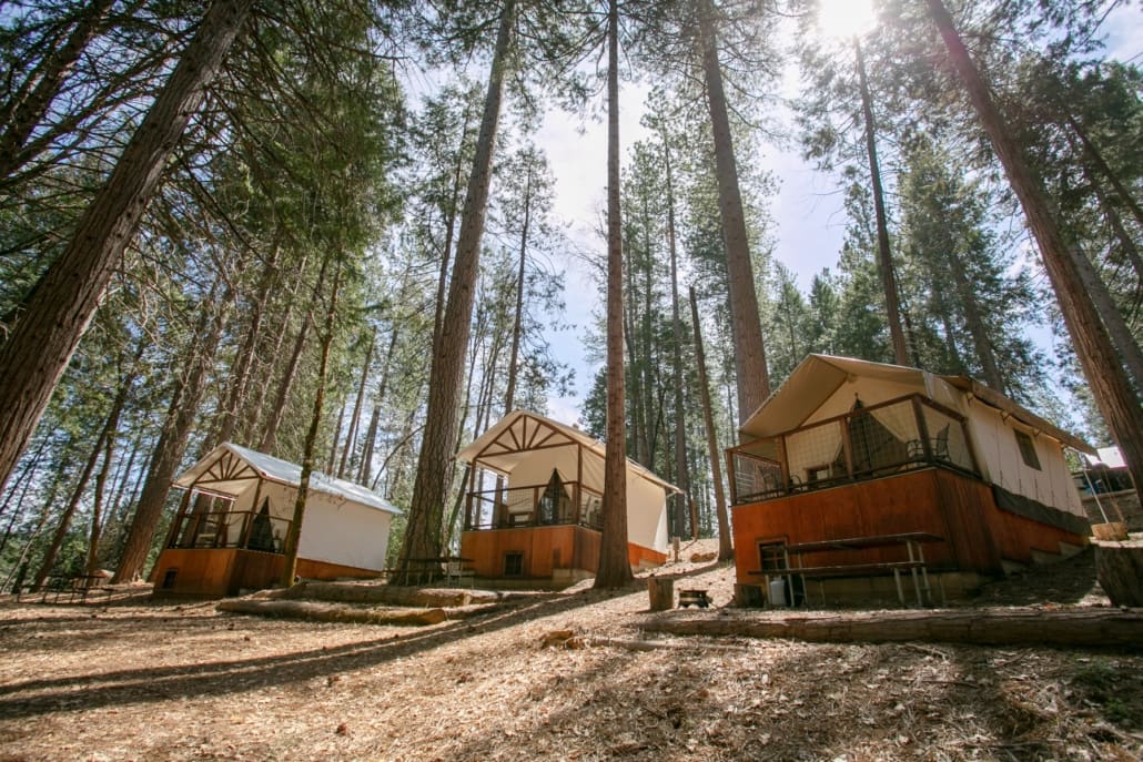Glamping tents nestled among tall pine trees in California's Inn Town Campground, rewriting the rules of roughing it in a forest clearing.
