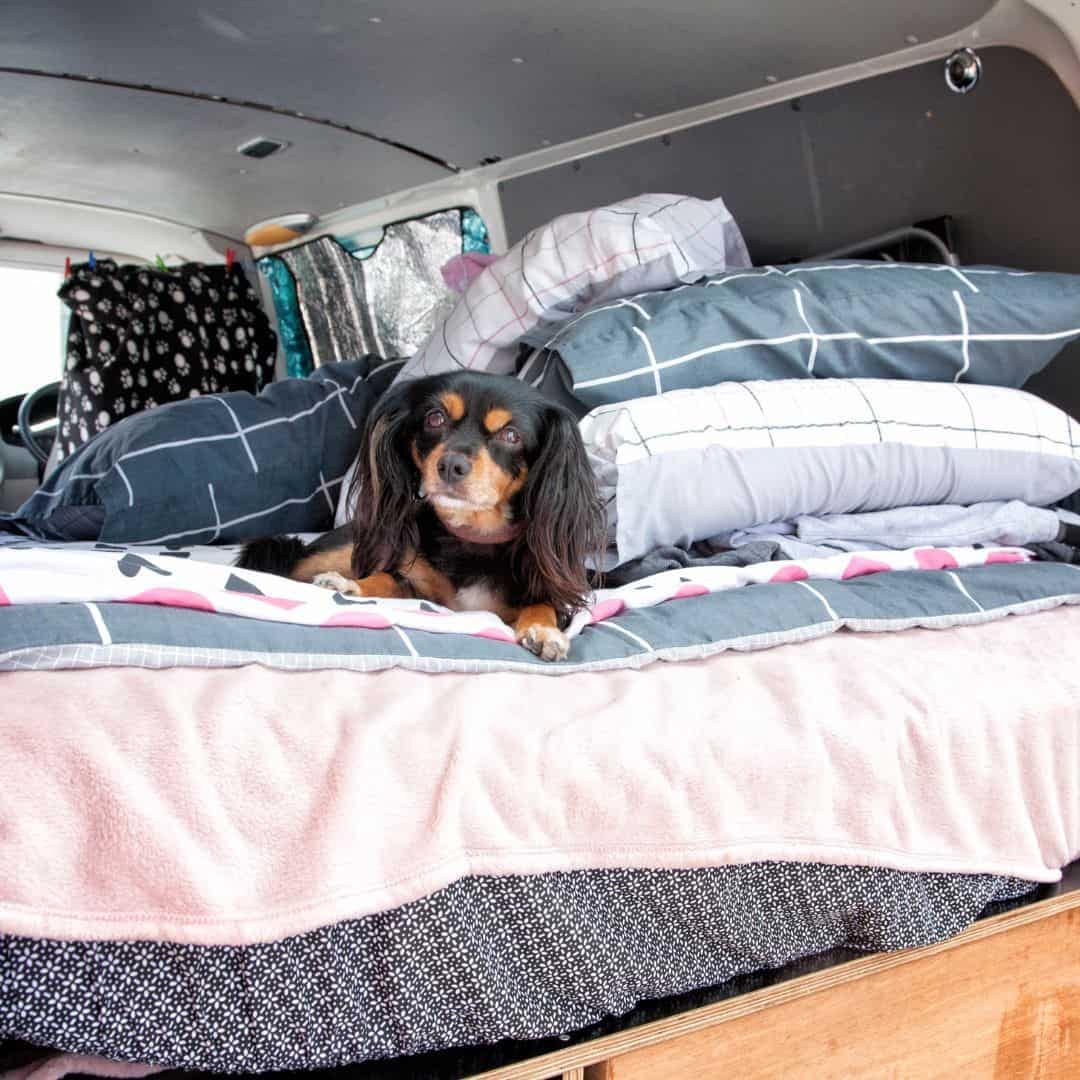 A dog lounging on top of a bed in a van parked at a campground.