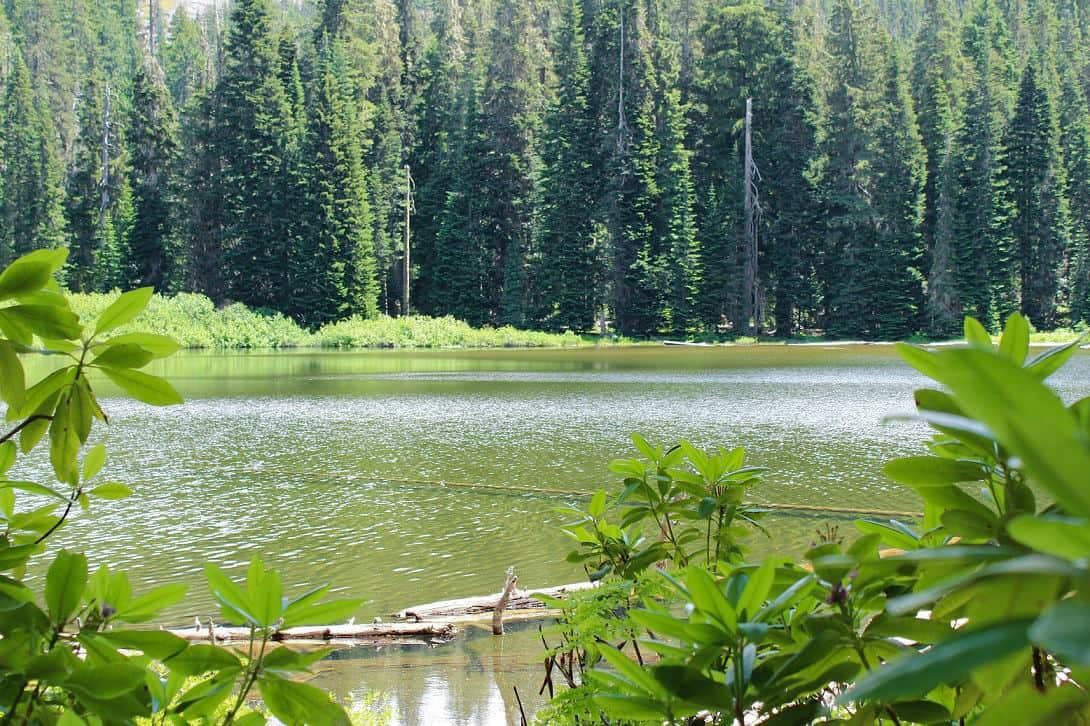 Next week, the open Broken Arrow Campground will welcome visitors to enjoy a serene lake surrounded by towering trees.