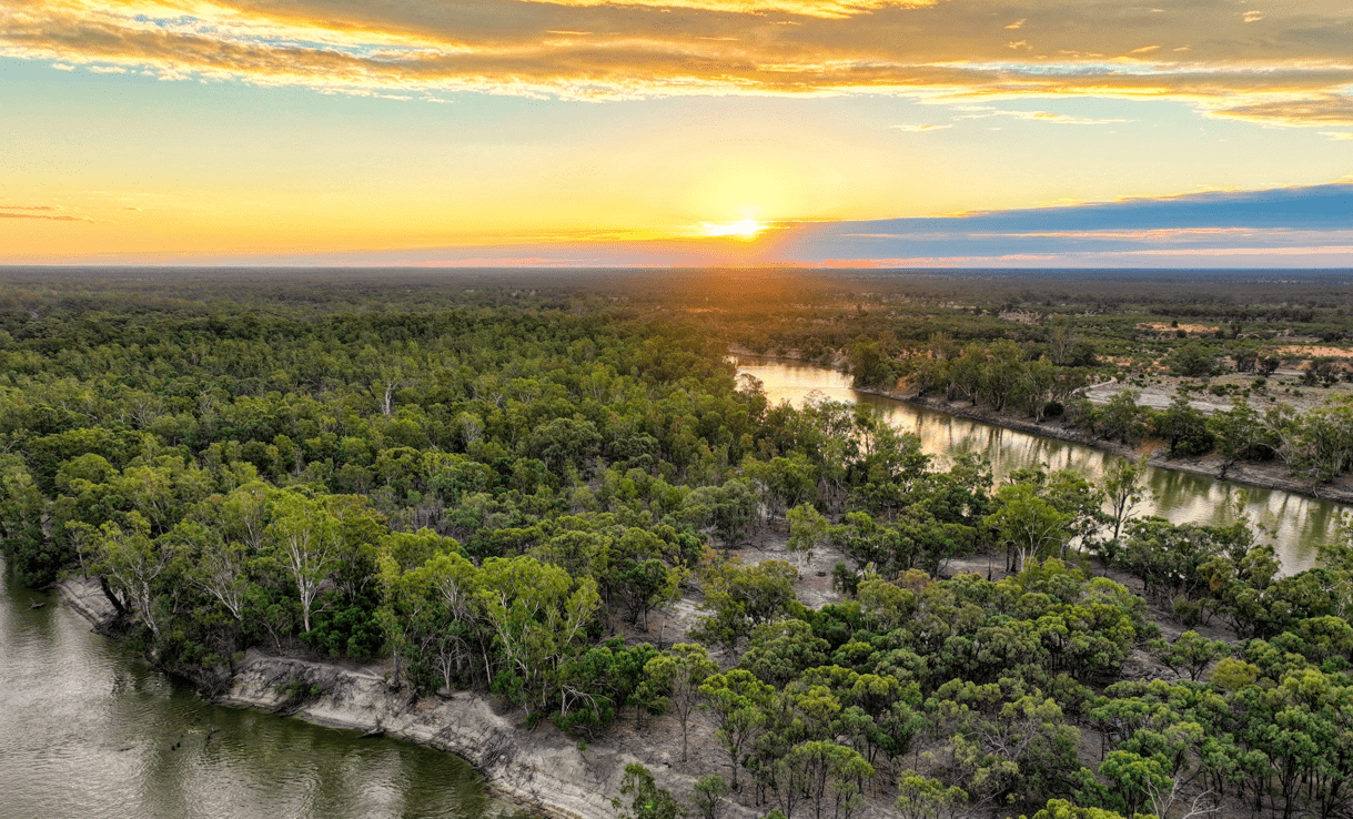 An aerial view of a partially reopened Katarapko Campground and Murray River National Park at sunset, showcasing the magnificent river and trees.