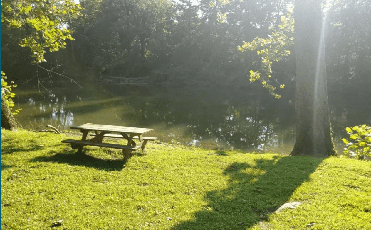A picnic table sits on the grass near a river in an Indiana campground.